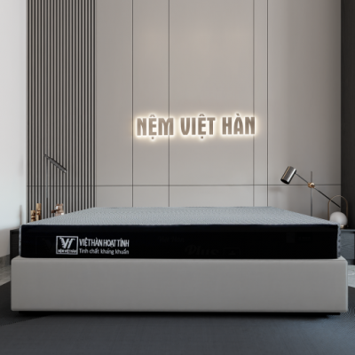 NỆM FOAM VIỆT HÀN HOẠT TÍNH